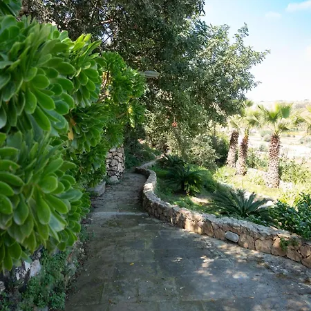 Villeleynah Amazing Gozitan Pool - Happy Villa